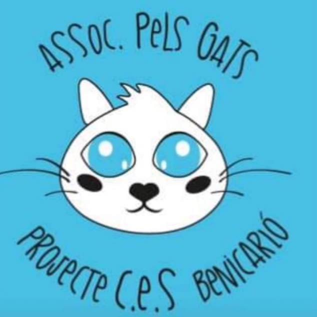 gatsbenicarlo