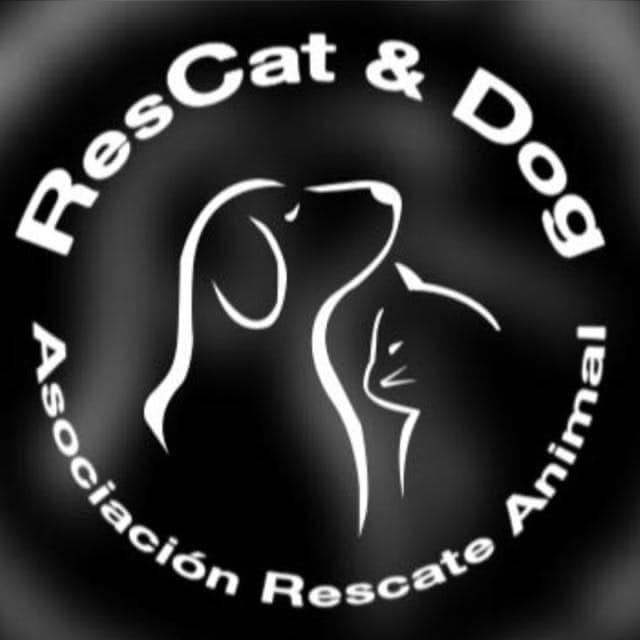 rescatandog