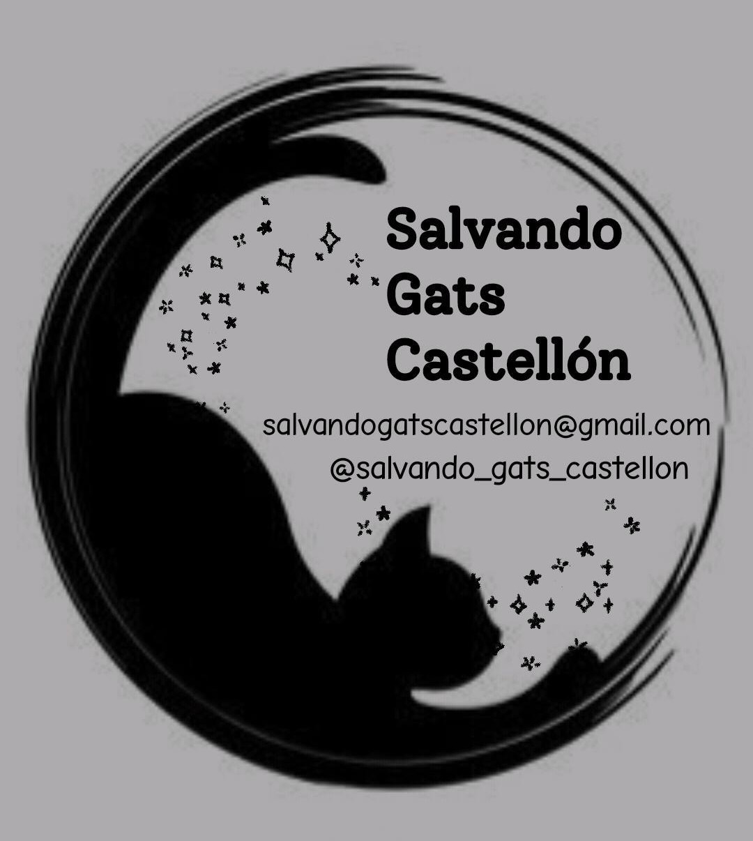 salvandogatscs