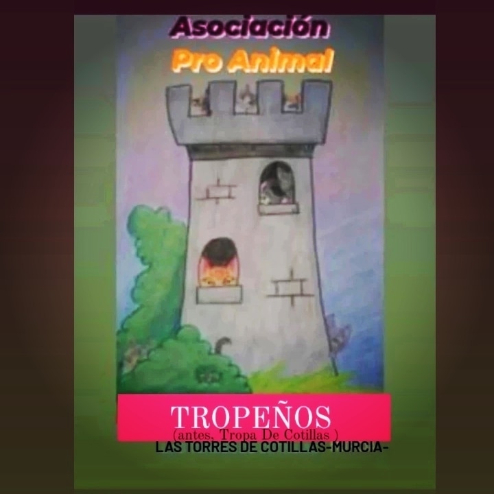 tropacotillas