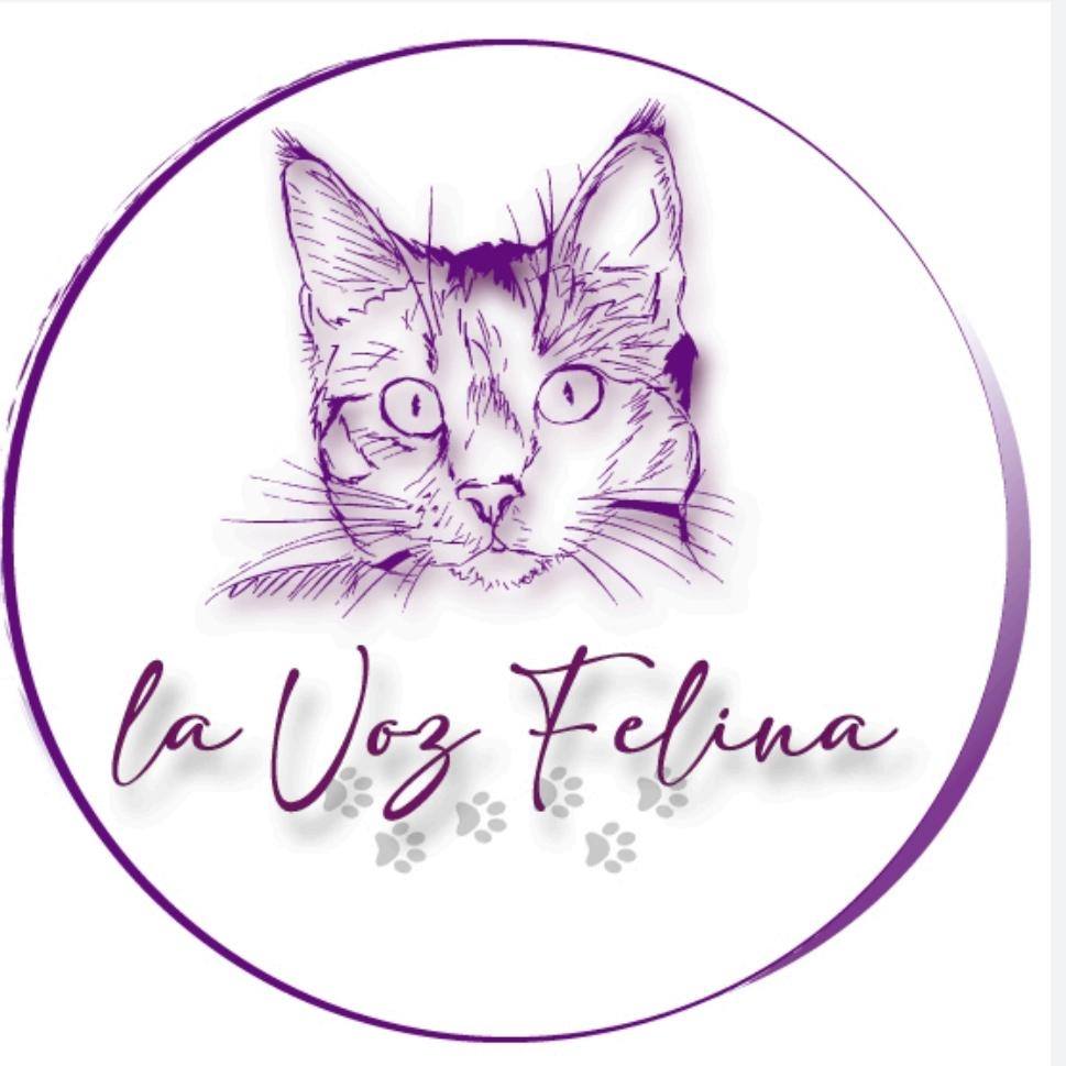 vozfelinacatarroja